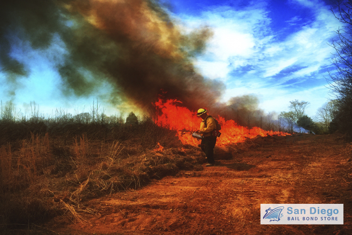 staying-safe-during-californias-wildfire-season
